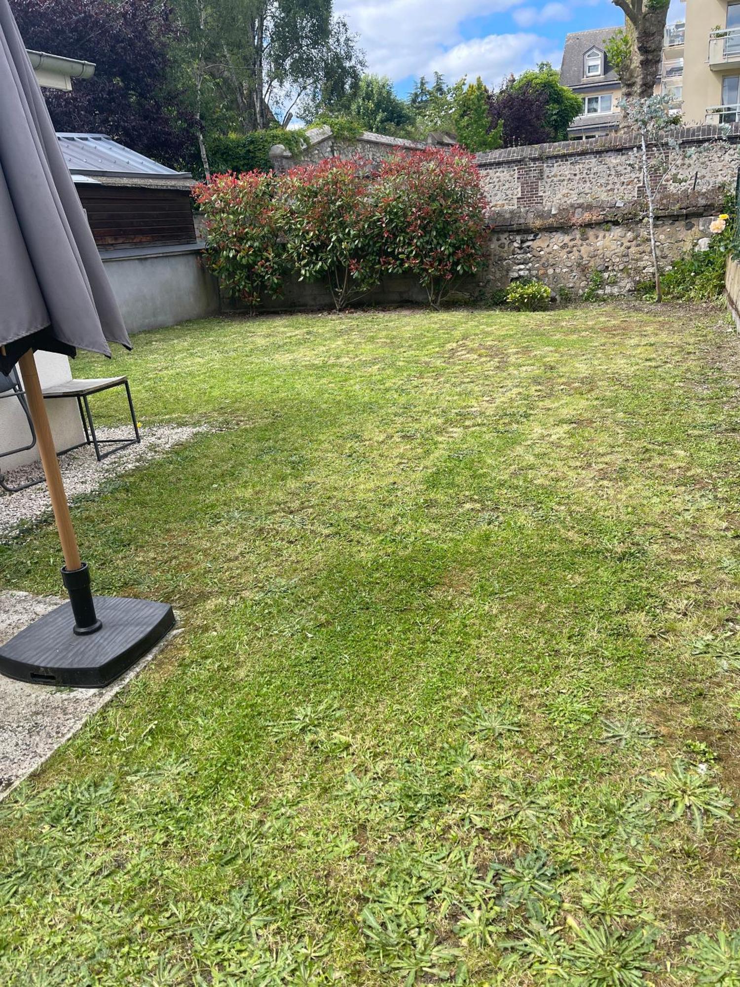 Le Nid Douillet : Superbe Appartement + Jardin Privatif Ruan Exterior foto